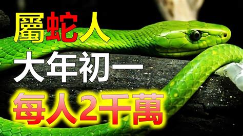 屬蛇適合的顏色|【屬蛇 顏色】屬蛇2024專屬配色攻略：揭密幸運色和禁忌色，助。